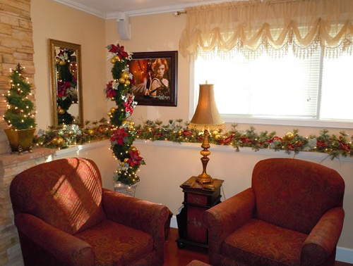 Salon Decorations - Christmas - Christmas topiary trees decorations for small spaces